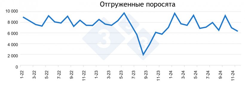 Рисунок 1. Количество поросят, отгруженных&nbsp;с января 2022 года по декабрь 2024 года.
